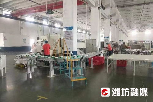 企業(yè)調(diào)研行 恒聯(lián)集團(tuán) 老造紙廠有個 上市夢