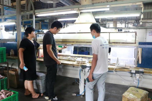 規(guī)范提升鞋業(yè)環(huán)保治理 我市強(qiáng)化企業(yè)幫扶指導(dǎo)服務(wù)